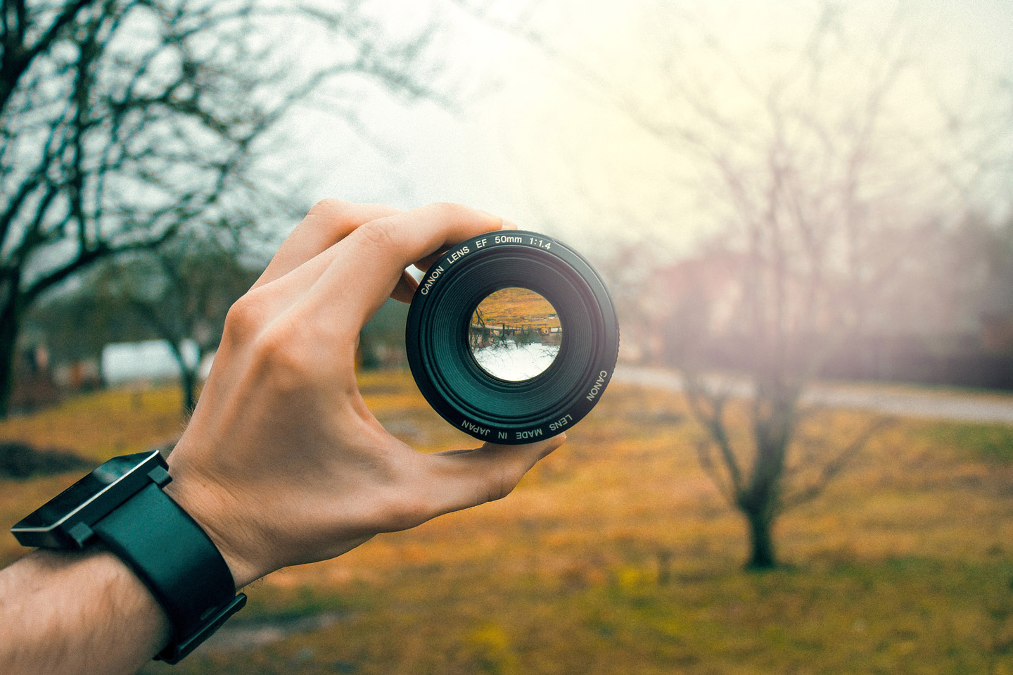 Perfect Lens